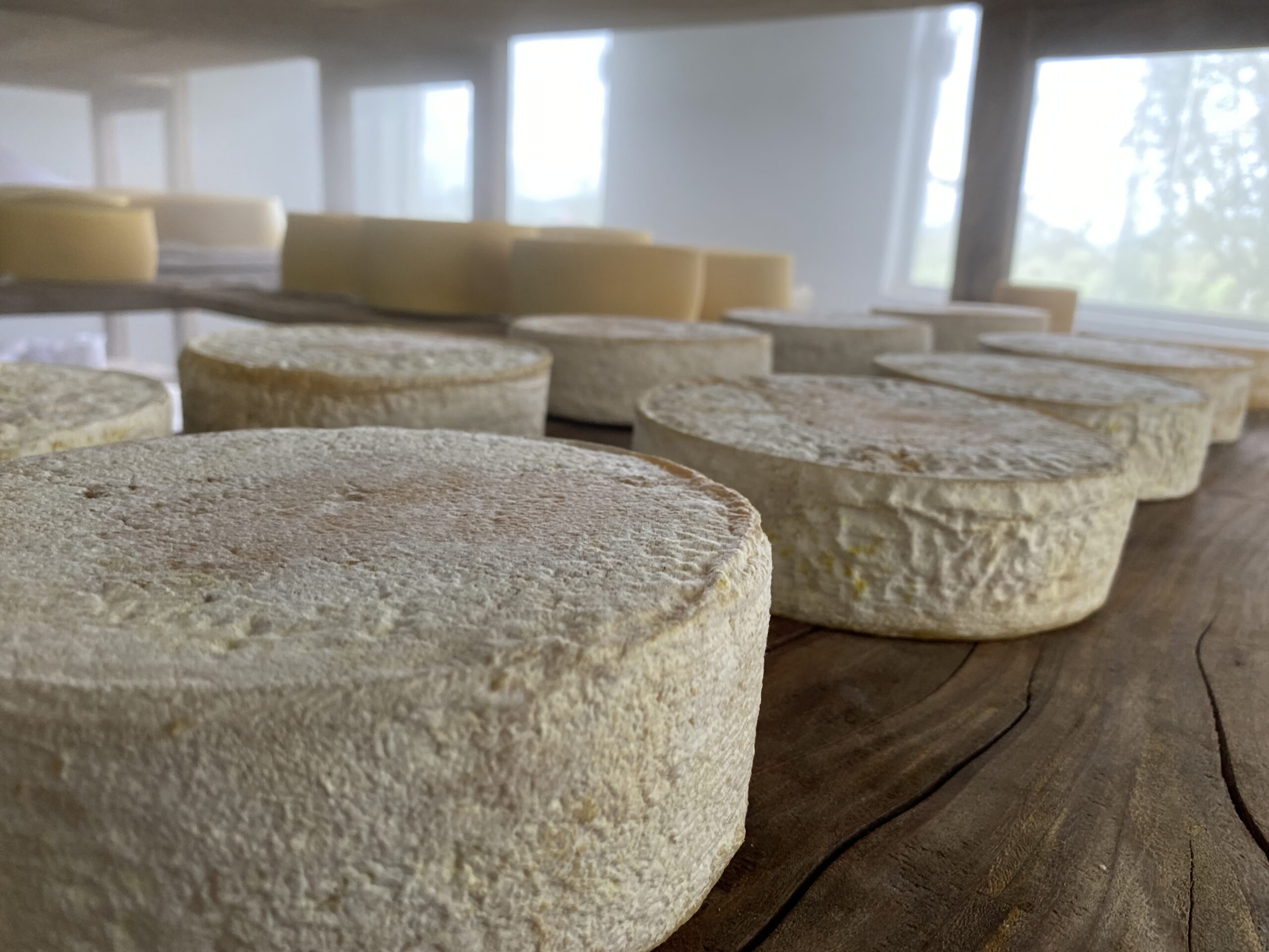 1- Cordilheira Inteiro