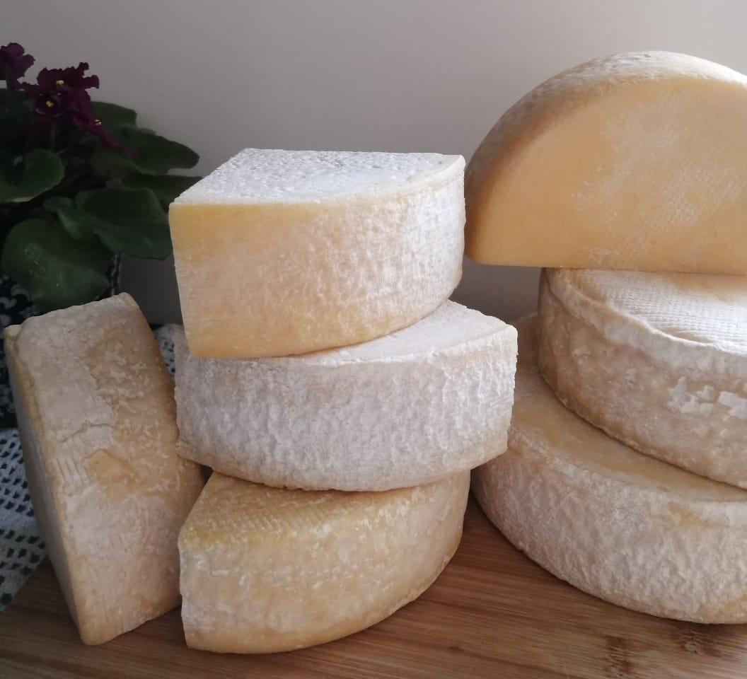 WhatsApp Image 2022-10-19 at 18.53.06 (2)